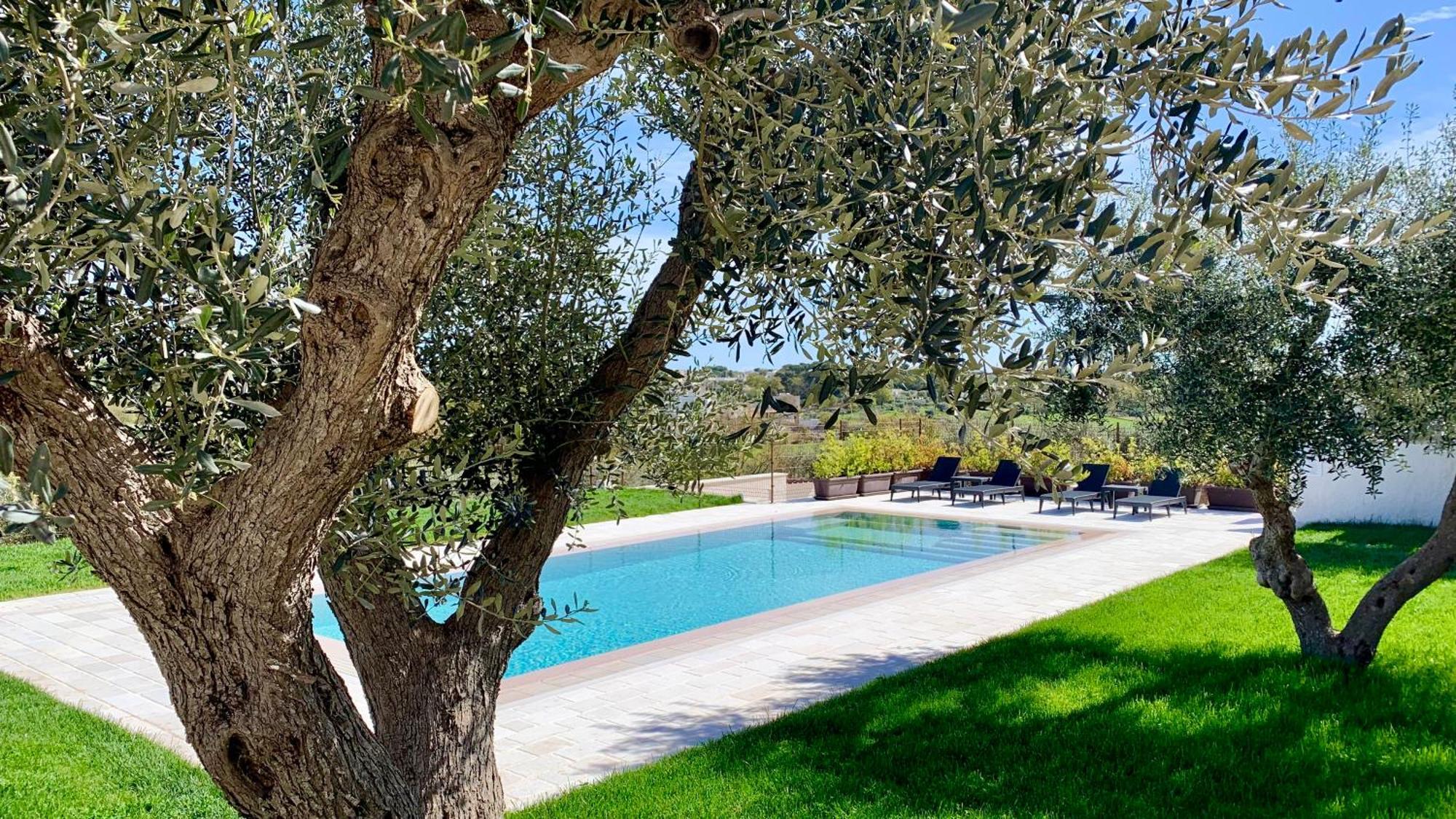 B&B Villa Maggi Locorotondo Exterior foto
